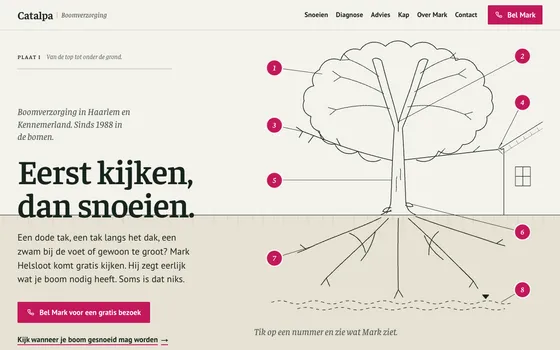 De website van Catalpa Boomverzorging
